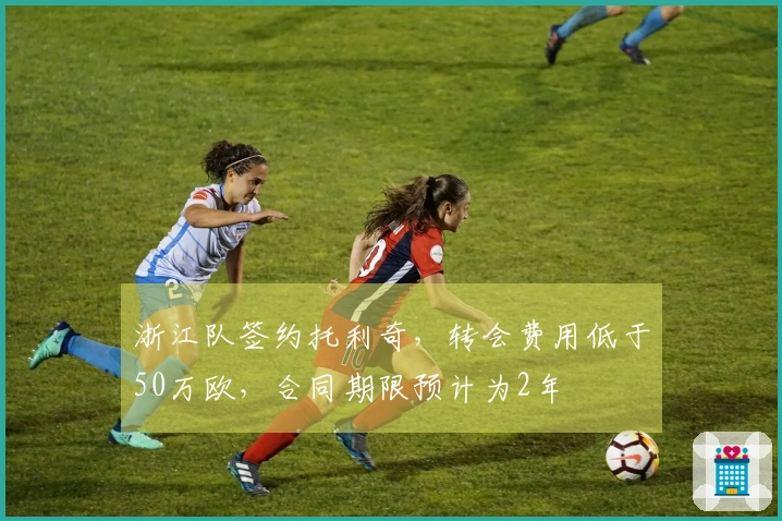 浙江队签约托利奇，转会费用低于50万欧，合同期限预计为2年