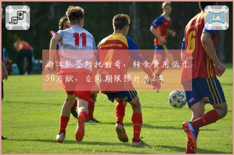 浙江队签约托利奇，转会费用低于50万欧，合同期限预计为2年